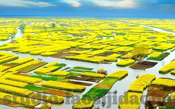 91麻豆精品国产专区在线观看-article-91麻豆精品国产专区，在线观影的魅力和影响